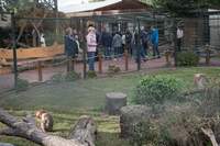 DTG-Tagung 2019: Besuch im Tierpark